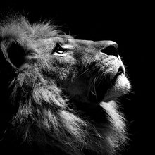Charger l'image dans la galerie, Black and White Lion King