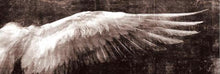 Load image into Gallery viewer, Vintage Angel Wings