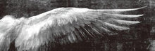 Load image into Gallery viewer, Vintage Angel Wings