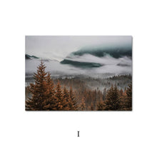 Load image into Gallery viewer, Nordic Morning Sunrise Into The Wild Canvas Prints