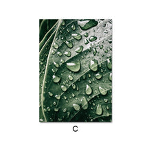 Charger l'image dans la galerie, Escape To Iceland Magnificent Landscape