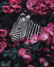 Charger l'image dans la galerie, Modern Floral Zebra