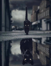 Load image into Gallery viewer, Mindset Is Everything