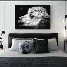 Load image into Gallery viewer, Black and White Alpaca Photography