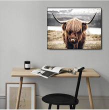 Load image into Gallery viewer, Highland Wild Cow Photography Art