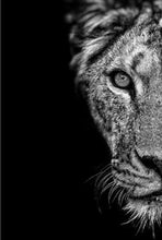 Charger l'image dans la galerie, Black and White Lion And Lioness