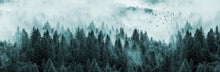 Load image into Gallery viewer, Nordic Foggy Forest
