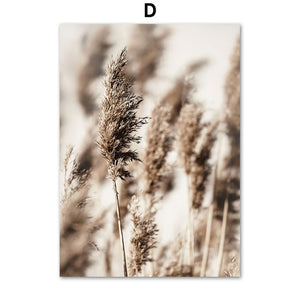 Beach Sand Dunes Landscape Art
