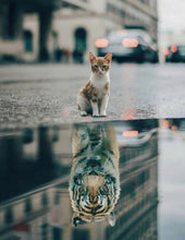 Load image into Gallery viewer, Mindset Is Everything

