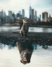 Load image into Gallery viewer, Mindset Is Everything
