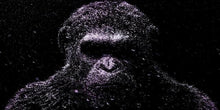 Charger l&#39;image dans la galerie, Monkey Shooting Star
