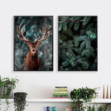 Load image into Gallery viewer, Nordic Foggy Forest Adventure Canvas Art
