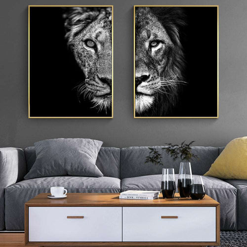 Black and White Lion And Lioness