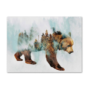 Bear Shadow Through The Forest