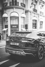 Load image into Gallery viewer, Luxury Fashion Parisian Dior Lambo - Black and white edition
